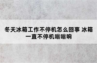 冬天冰箱工作不停机怎么回事 冰箱一直不停机嗡嗡响